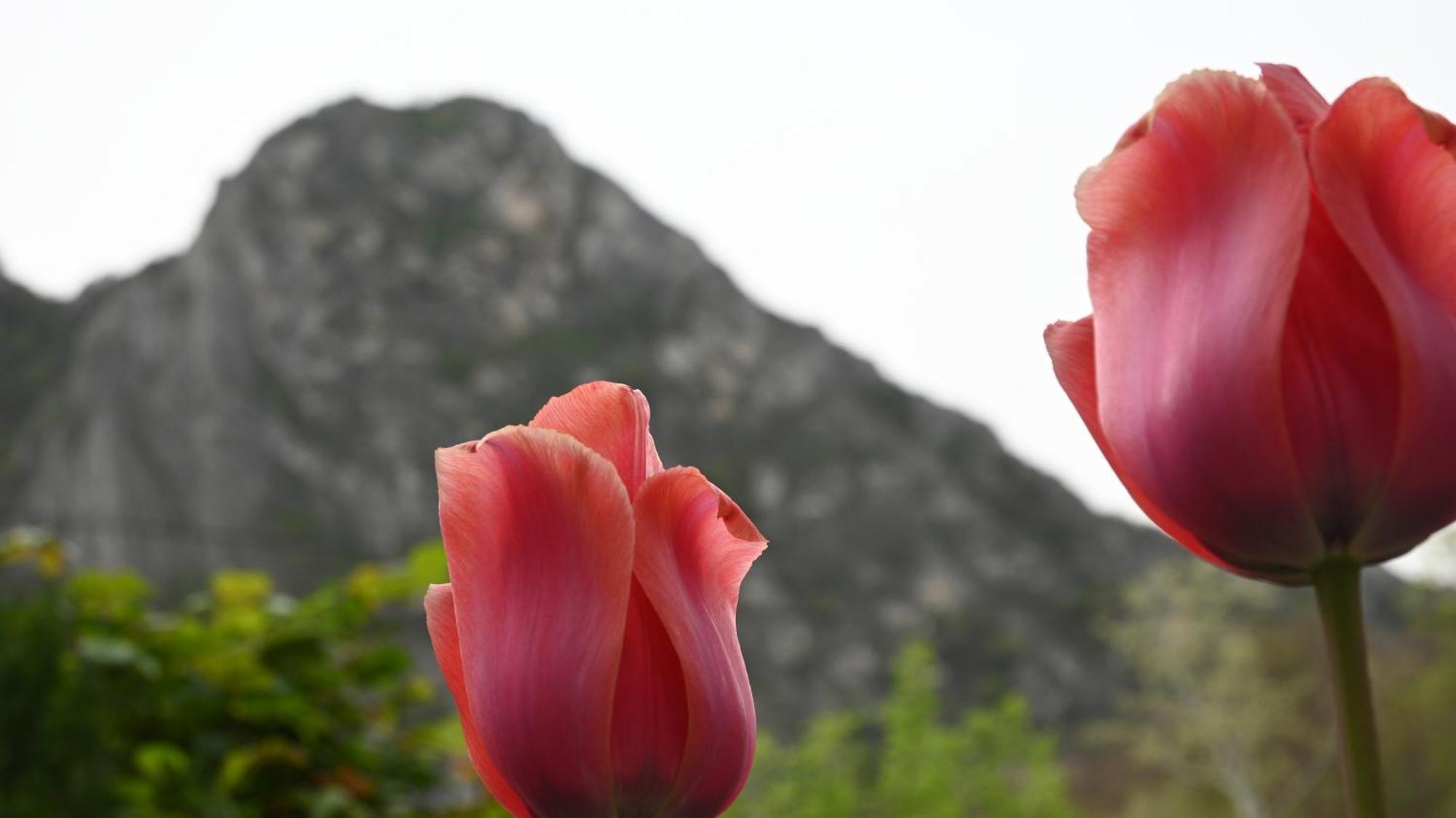 Canyon Matka - Unique Place For Stay Skopje Exterior photo